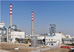 江蘇王子製紙有限公司新建年產80萬噸版紙項目年產71.4萬噸漂白化學闊葉木（mù）漿（jiāng）生（shēng）產線及其配套工程項目