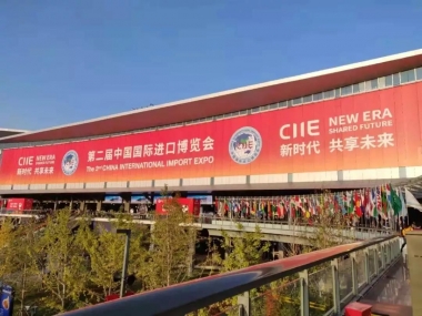 食色短视频成人製造閃耀(yào)第二屆進博會